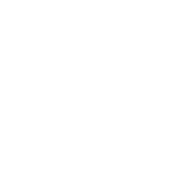 section-1